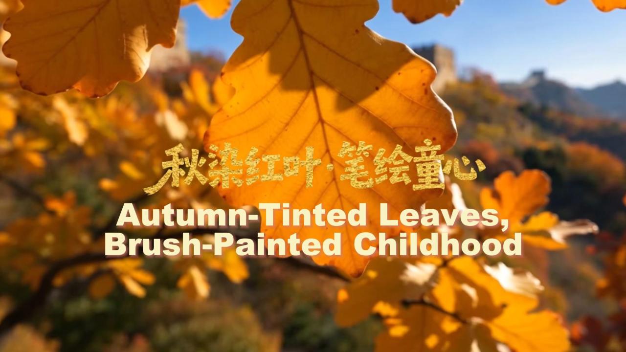 Watch kids paint the red-leaf wall on a hundred-meter scroll