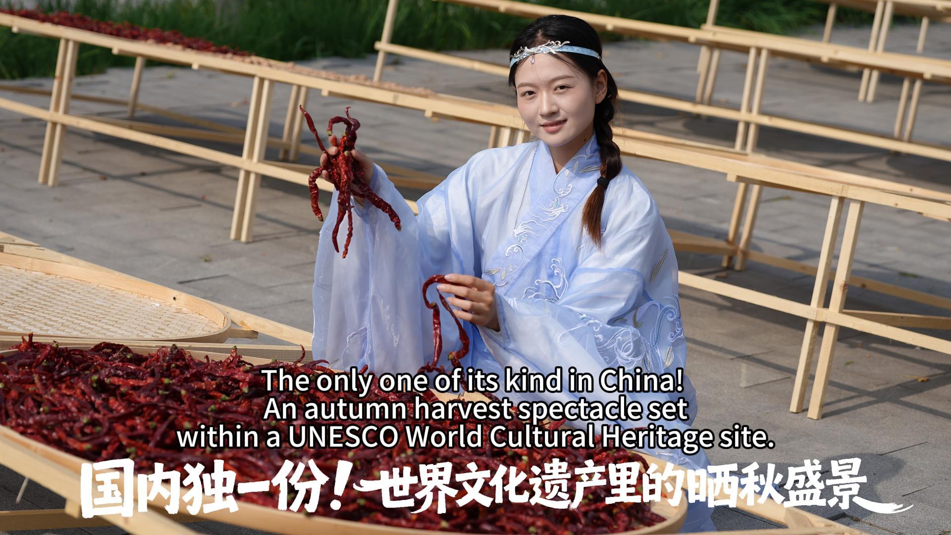 Chestnuts, culture & golden views — only on the Great Wall.