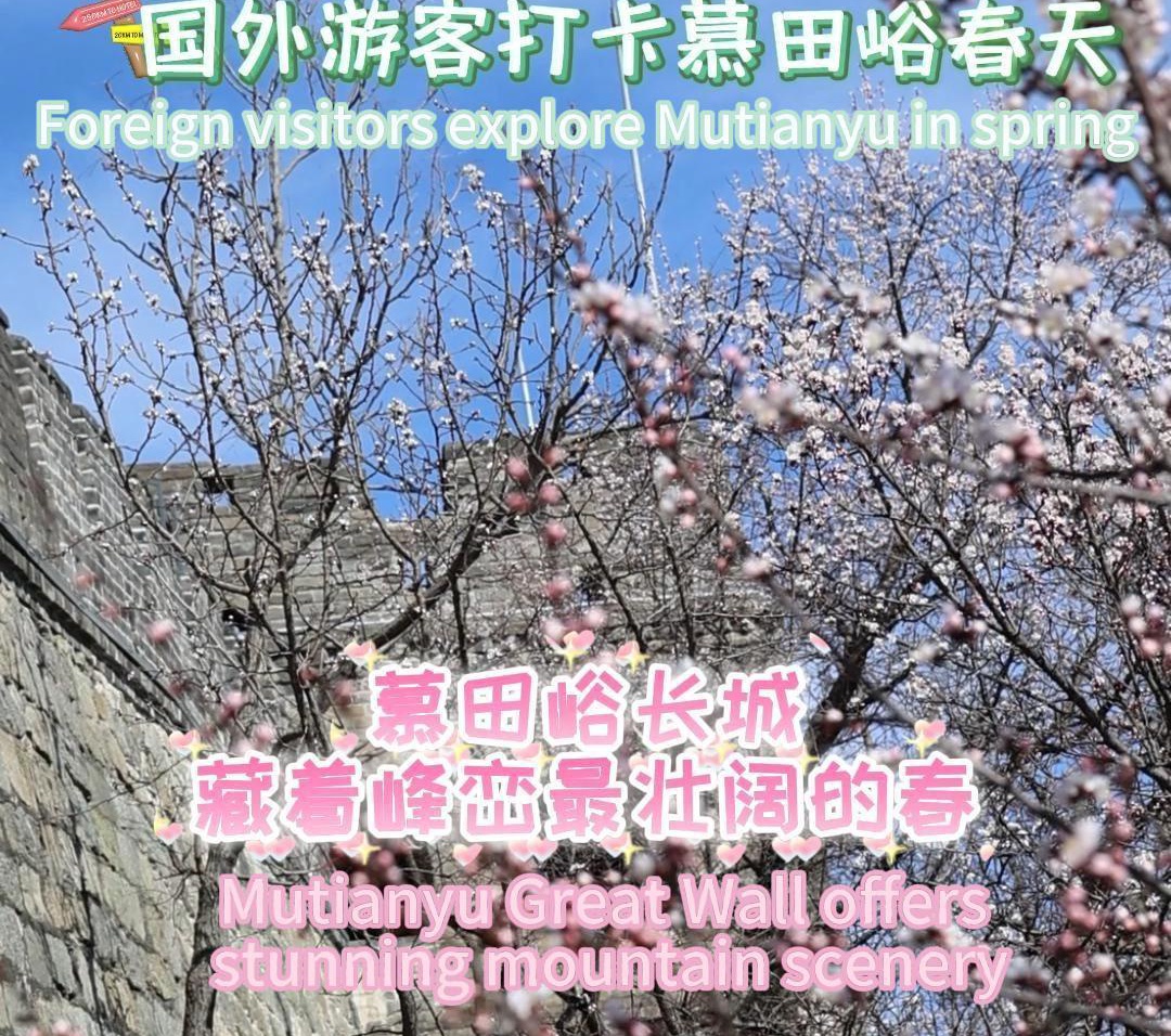 Let's hear what foreign visitors think of Mutianyu Great Wall in spring!