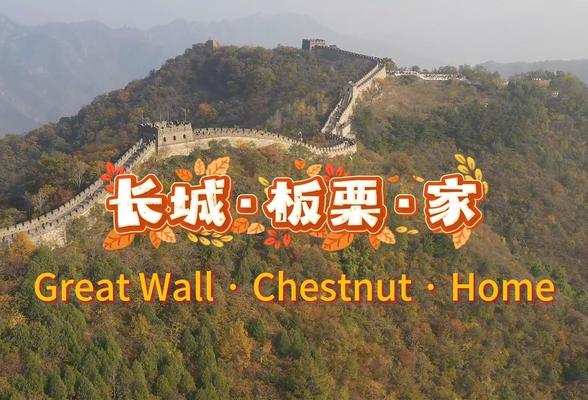 The Story Behind Mutianyu Chestnuts | Great Wall · Chestnut · Home