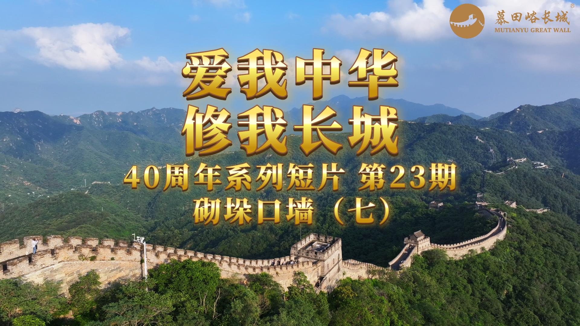 Episode 23 Build The Battlement Wall (VII)