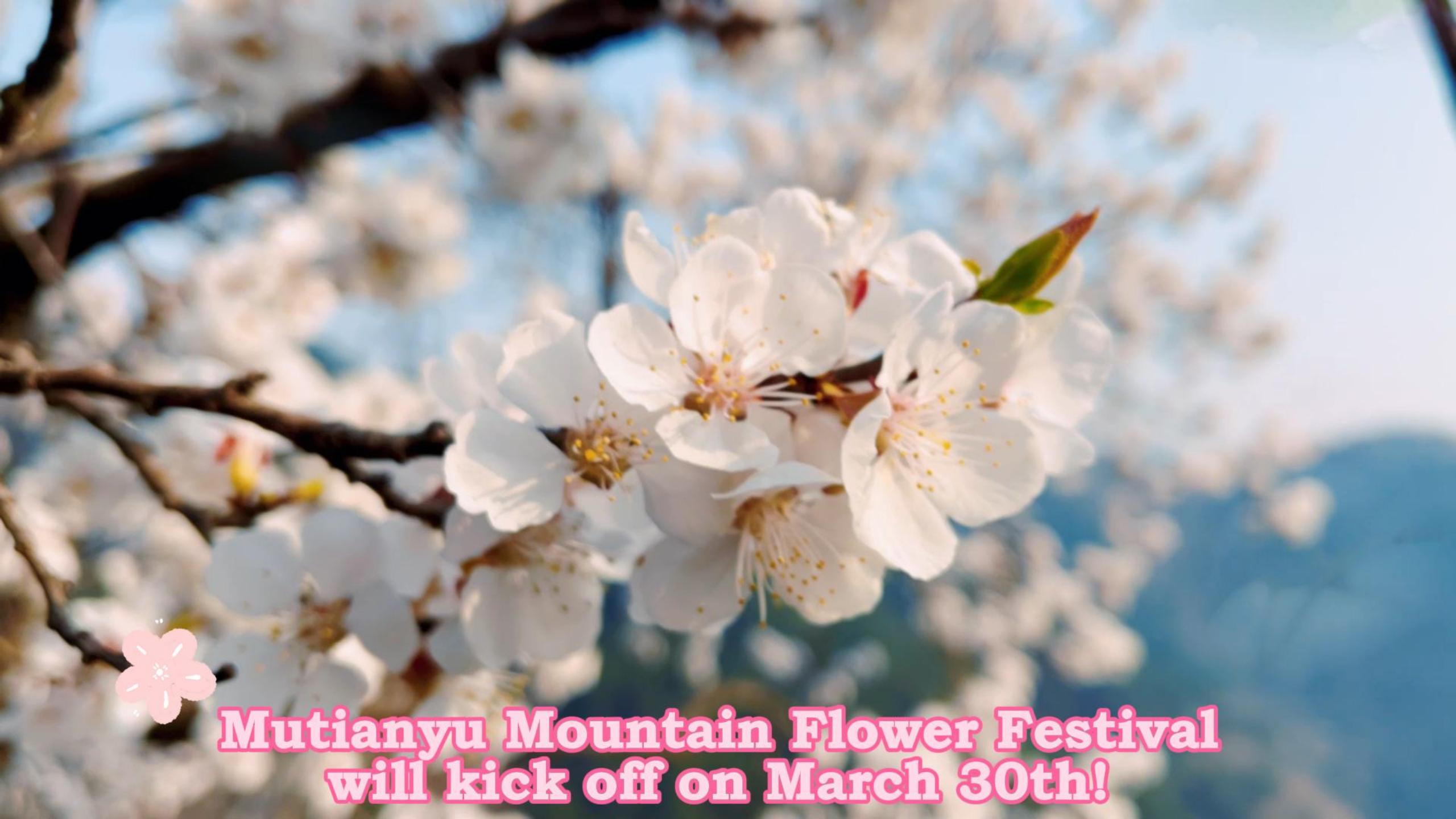Mutianyu Mountain Flower Festival will kick off on March 30th