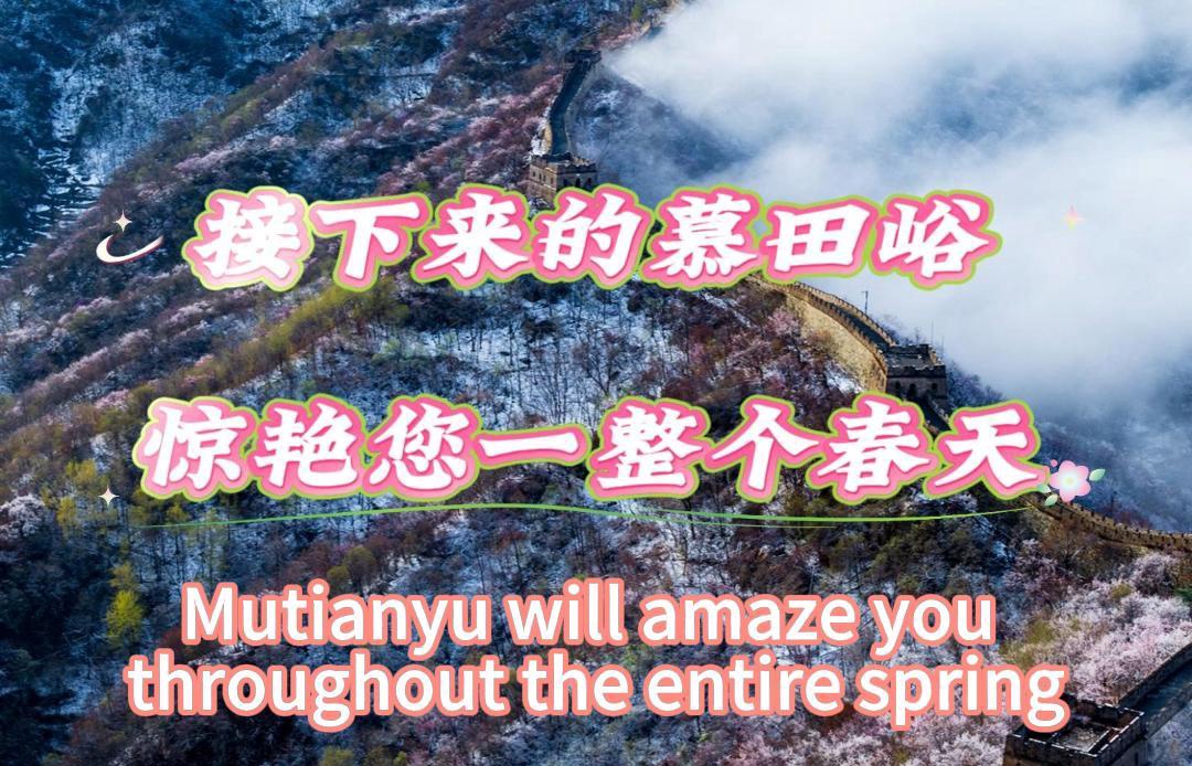 This is what Mutianyu Great Wall will look like this spring...