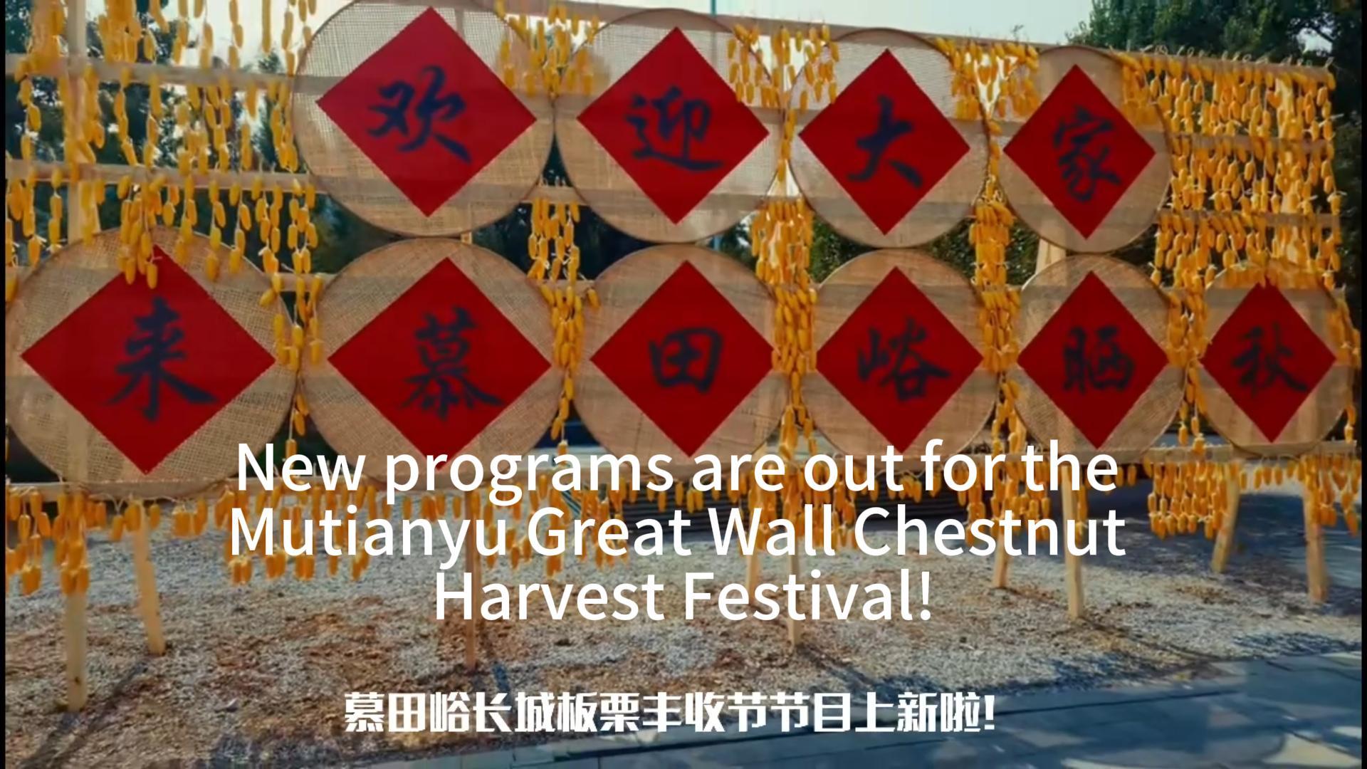 Discover more immersive experiences at the Chestnut Harvest Festival
