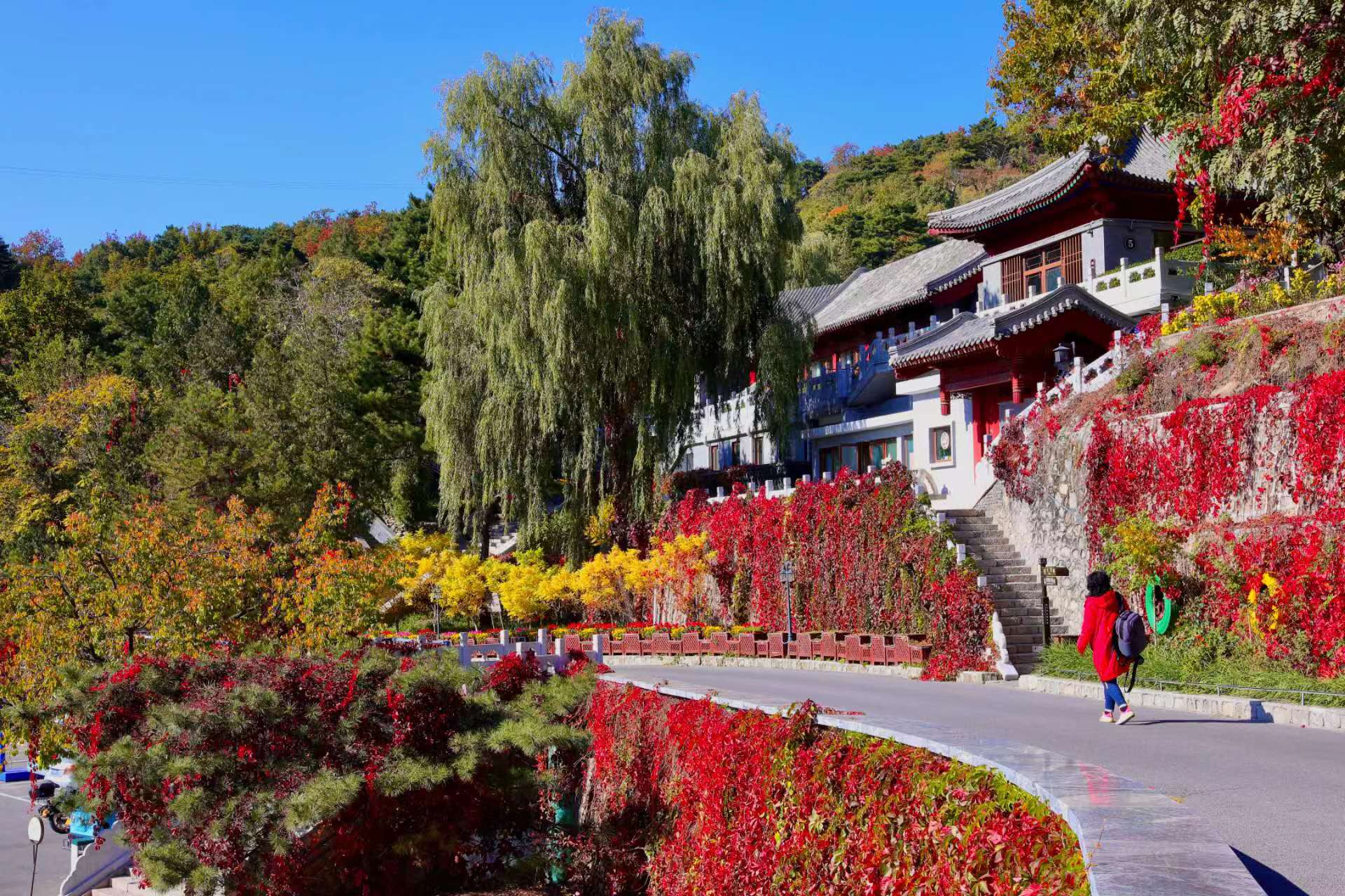 Autumn View