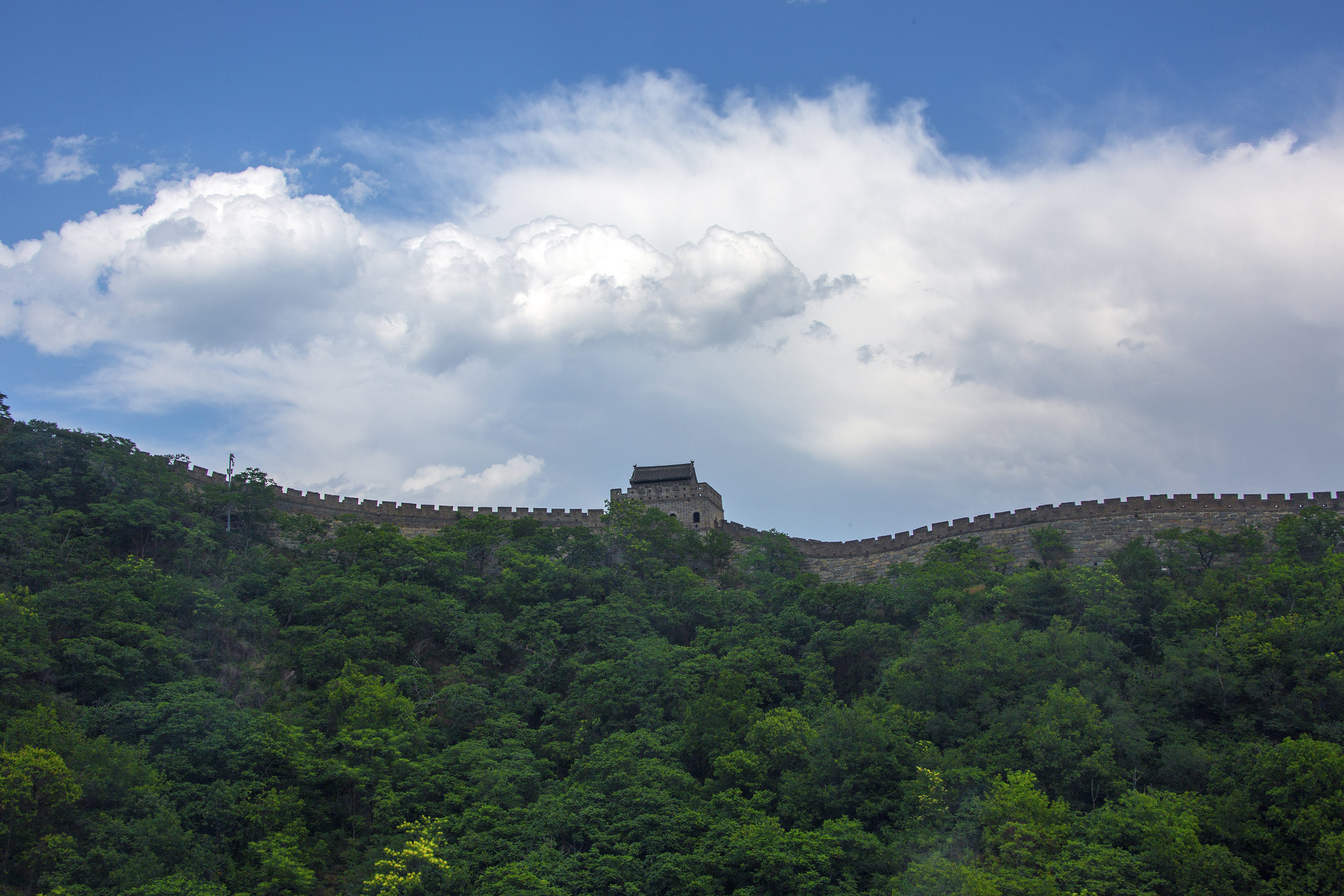 Long dragon under cloud
